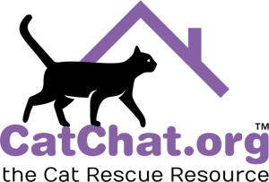 Cat Chat Logo