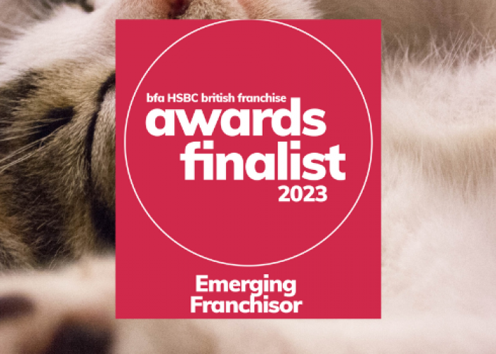 The Cat Butler Nominated as Finalists in Prestigious BFA HSBC British Franchise Awards
