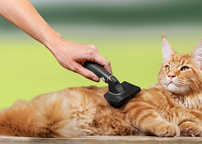 Cat Butlers in Birkenhead, Ellesmere Port, Neston, Prenton, Wallasey and the Wirral
