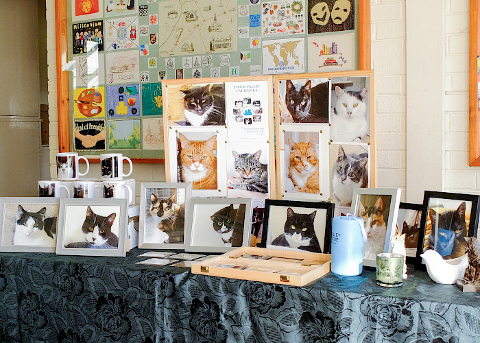 A Purr-fect Autumn Day: Cat Lovers Unite at Stour Valley Cat Rescue Table Top Sale