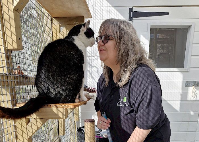 A Day in the Life of a Cat Rescue Volunteer: Making a Pawsitive Impact at Stour Valley Cat Rescue