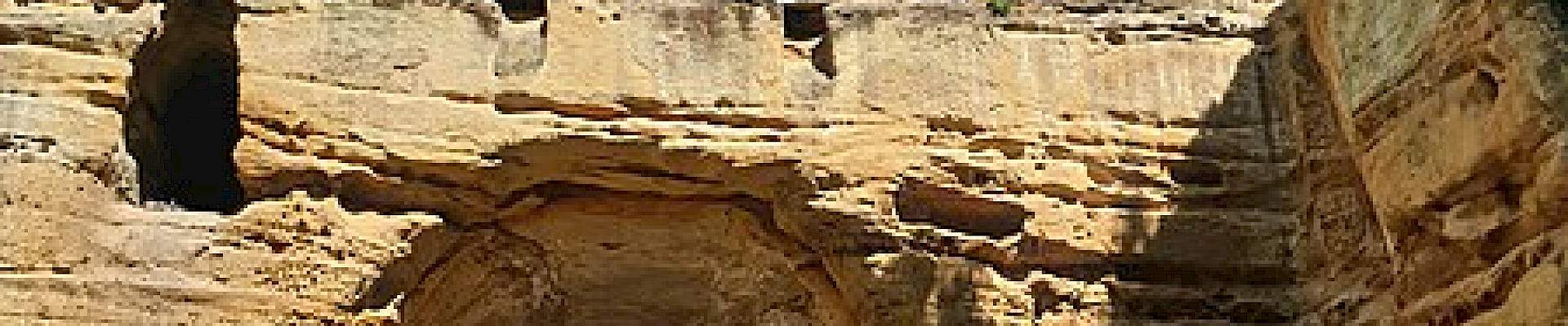The Park Photo