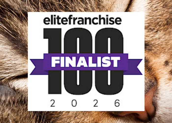 Two Years Running, The Cat Butler® Named One of the UK’s Elite 100 Franchises